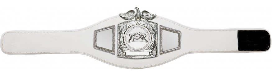 PROEAGLE GRAPPLING CHAMPIONSHIP BELT - PROEAGLE/S/GRAPS - AVAILABLE IN 6+ COLOURS